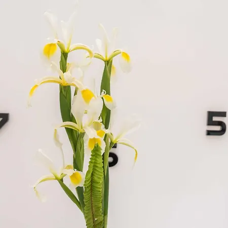 Апартаменты Maza - One Bedroom With Balcony Angela Задар